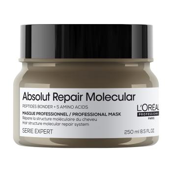 L'Oréal Professionnel Mască pentru păr deteriorat Absolute Repair Molecular (Professional Mask) 250 ml