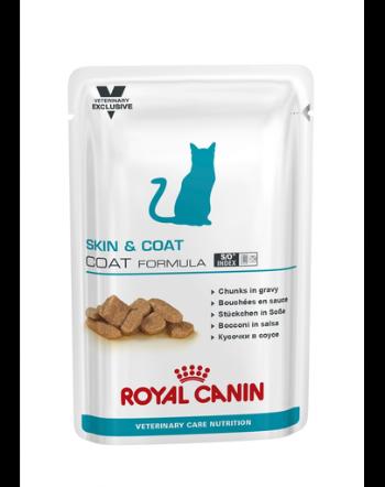 ROYAL CANIN Cat Skin&amp;Coat 12 x 85 gr hrana umeda dietetica pentru pisici adulte cu piele sensibila