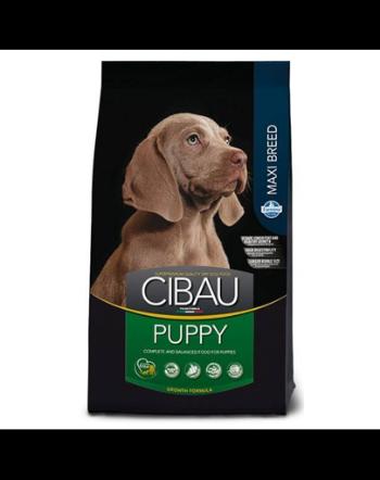 CIBAU Maxi Puppy Hrana uscata pentru catei de rasa mare 12 + 2 kg GRATIS