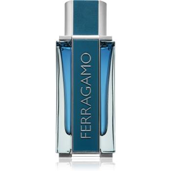 Ferragamo Ferragamo Intense Leather Eau de Parfum pentru bărbați 100 ml