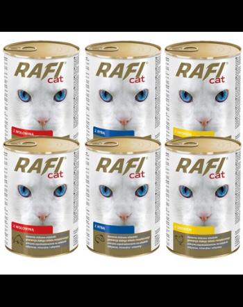 DOLINA NOTECI Rafi Adult Set conserve pentru pisici, cu mixt de sortimente 24x415 g