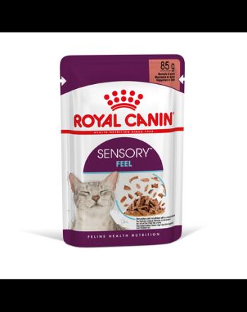 ROYAL CANIN Sensory Feel gravy 24x85 g bucăți de sos pentru pisici adulte pentru a stimula percepția texturii