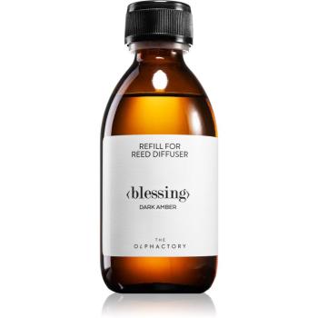 Ambientair The Olphactory Dark Amber reumplere în aroma difuzoarelor Blessing 250 ml