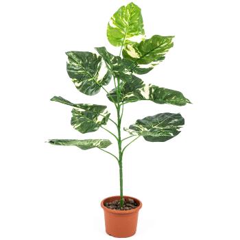 Floare artificială Pothos, în ghiveci