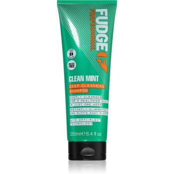 Fudge Clean Mint Shampoo șampon pentru păr gras 250 ml