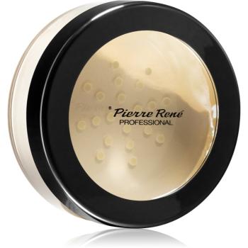 Pierre René Professional Loose Powder pudra pulbere transparentă 15 g