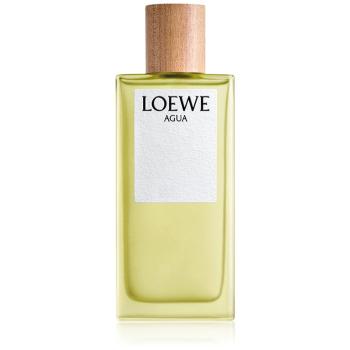 Loewe Agua Eau de Toilette unisex 100 ml