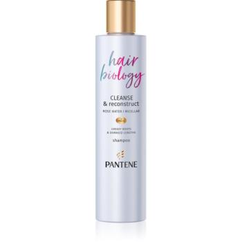 Pantene Hair Biology Cleanse & Reconstruct șampon pentru par gras 250 ml