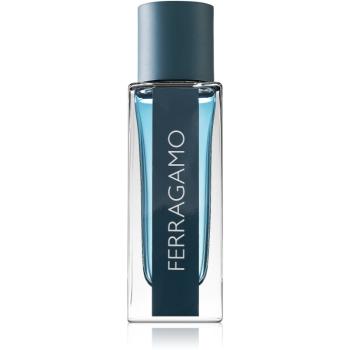 Ferragamo Ferragamo Intense Leather Eau de Parfum pentru bărbați 30 ml