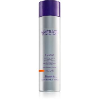 FarmaVita Amethyste Hydrate sampon hranitor pentru par uscat 250 ml