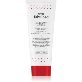 EVO Fabuloso Colour Boosting Treatment balsam pentru a evidentia culoarea parului culoare Mahogany 220 ml
