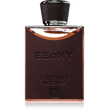 Fragrance World Ebony Scent Intense Eau de Parfum pentru bărbați 100 ml