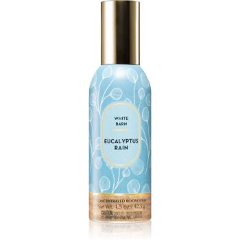 Bath & Body Works Eucalyptus Rain spray pentru camera I. 42,5 g