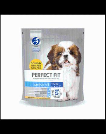 PERFECT Fit junior (