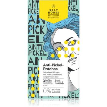 Salt House Natural Minerals Anti-pimple Patches plasturi pentru piele problematică impotriva acneei 30 buc