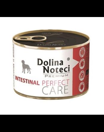 DOLINA NOTECI Perfect Care Intestinal 185 g