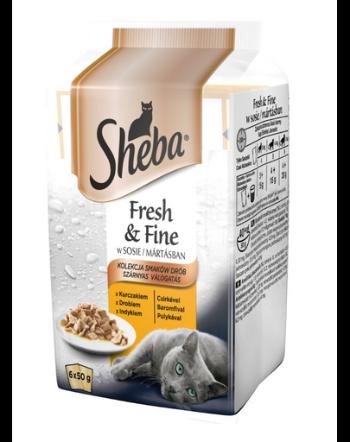 SHEBA Fresh &amp; Fine in sauce 72 x 50g cu pui, păsări de curte, curcan