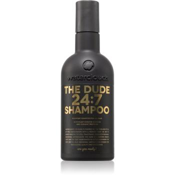 Waterclouds The Dude Shampoo Sampon de curatare zi de zi. 250 ml