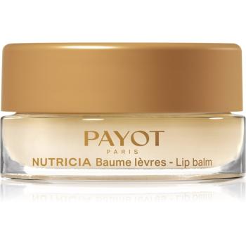 Payot Nutricia Baume Lèvres Cocoon balsam de buze nutritie si hidratare 6 g