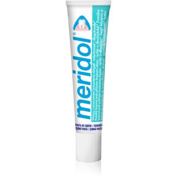 Meridol Gum Protection pastă de dinți ajuta la refacerea gingiilor iritate 20 ml