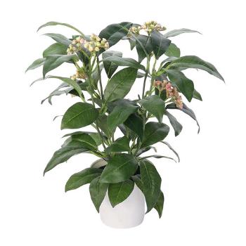 Ficus artificial în ghiveci, verde, 30 cm