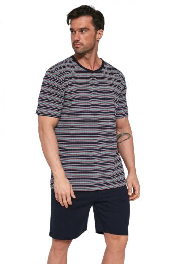 Pijama pentru bărbați 338/22 Various