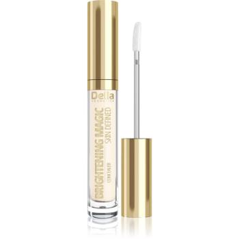 Delia Cosmetics Brightening Magic Skin Defined corector iluminator culoare 06 Nude 2.5 ml