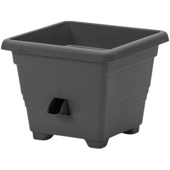 Plastia Ghiveci auto-udare BERGAMOT Plastia, , 25 x 25 cm, antracit, 25 x 25 cm