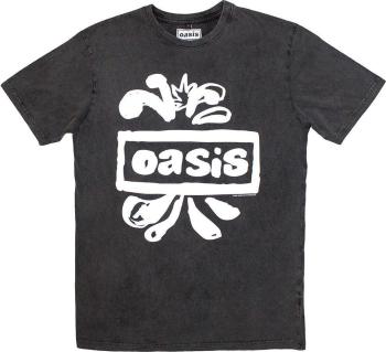 Oasis Ing Logo Splat Stone Wash Unisex Charcoal Grey M