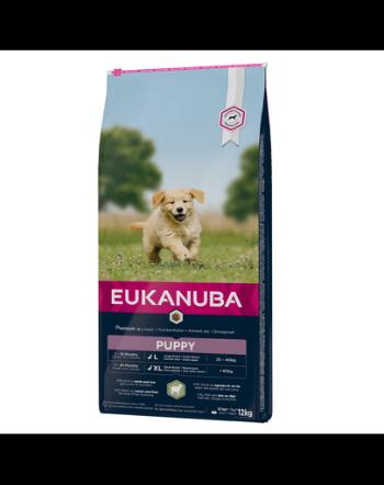 EUKANUBA Puppy Large Breed Lamb &amp; Rice hrana uscata caini juniori talie mare, miel si orez 12 kg