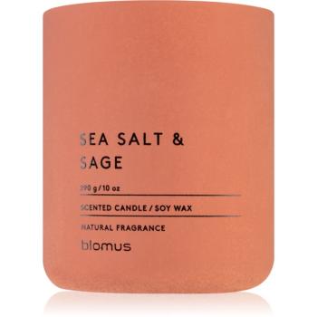 Blomus Fraga Sea Salt & Sag lumânare parfumată 290 g