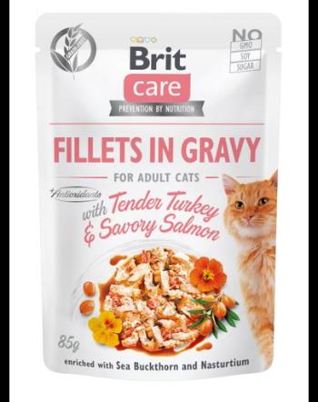 BRIT Care Fillets in gravy Hrana umeda pentru pisici adulte, cu somon si curcan in sos 24 x 85 g