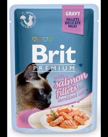 BRIT Premium Cat Delicate fillets in gravy 24x85g cu somon, plicuri pentru pisica