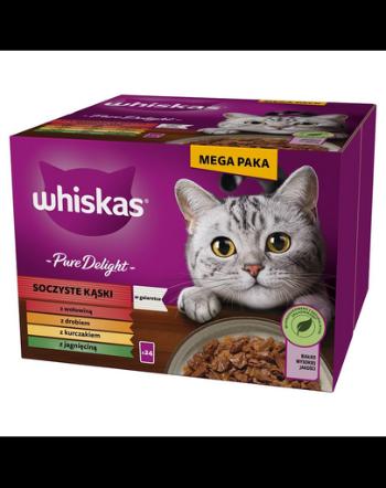 WHISKAS Adult Pure Delight 24x85 g Juicy Jellied Bites cu carne de vita, pui, miel, pasare pentru pisici adulte