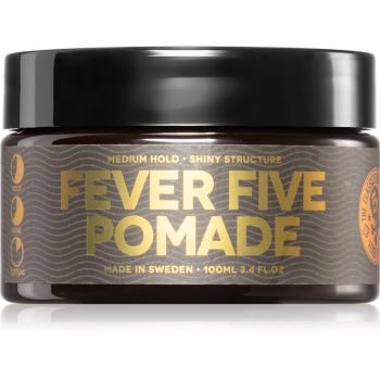 Waterclouds Fever Five Pomade alifie pentru par pe bază de apă 100 ml