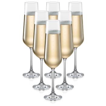 Pahare șampanie Tescoma GIORGIO 200 ml, 6 buc.