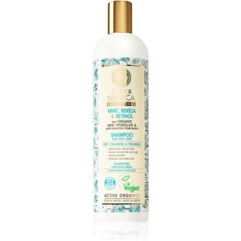 Natura Siberica Mint, Bereza & Retinol șampon pentru păr gras 400 ml