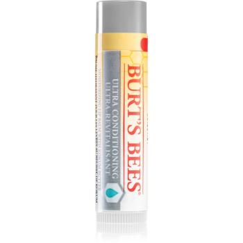 Burt’s Bees Lip Care balsam pentru buze uscate 4.25 g