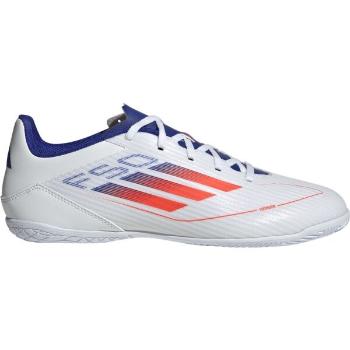 adidas F50 CLUB IN Pánské sálovky, bílá, velikost 44