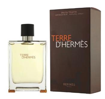 Hermes Terre D´ Hermes - EDT 200 ml