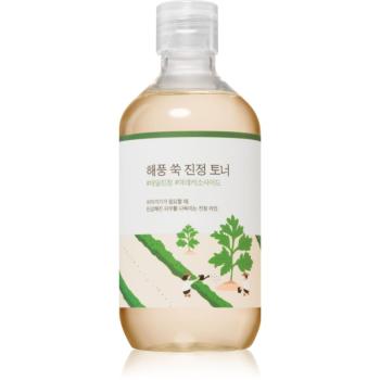 ROUND LAB Mugwort Calming Toner tonic facial cu efect calmant 300 ml