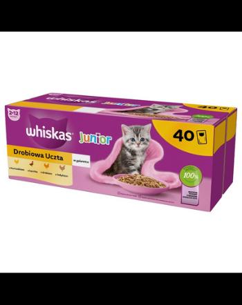 WHISKAS Junior 40x85g hrana pisoi umeda cu pui, rata, pasare si curcan in aspic