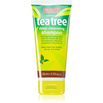 Beauty Formulas Tea Tree curatarea profunda a scalpului 200 ml