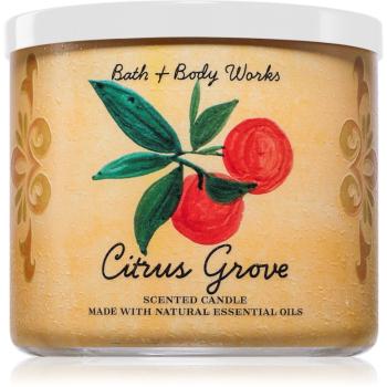 Bath & Body Works Citrus Grove illatgyertya 411 g