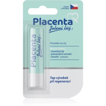 Regina Placenta balsam pentru buze efect regenerator 4,5 g