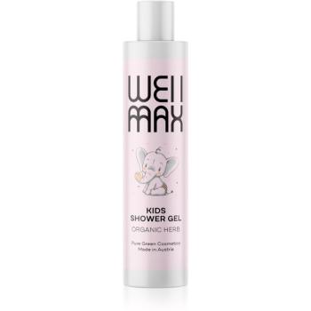 WellMax Kids Shower Gel gel de duș mătăsos pentru pielea bebelusului 250 ml