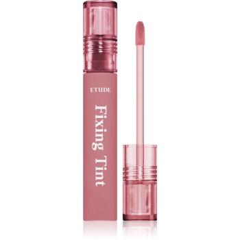 ETUDE Fixing Tint ruj cu persistență îndelungată cu efect mat culoare #08 Dusty Biege 4 g