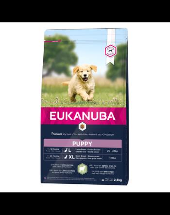 EUKANUBA Puppy Large Breed Lamb &amp; Rice hrana uscata caini junori talie mare, miel si orez 2.5 kg