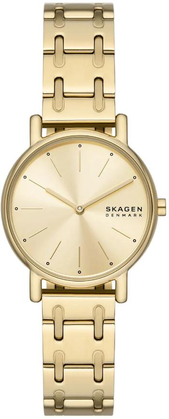 Skagen Signatur Lille SKW3124