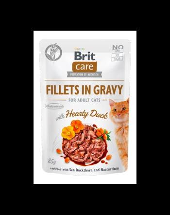 BRIT Care Fillets in gravy Set hrana umeda pentru pisici, cu rata in sos 24 x 85 g